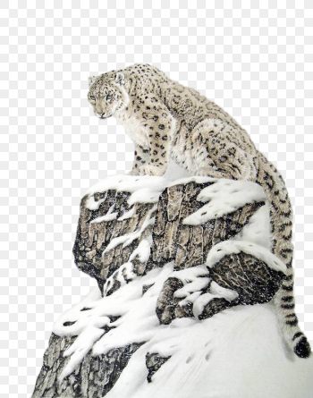 leopard illustration, The Snow Leopard Tiger Lion Felidae, Alpine snowflakes on the snow leopard pai