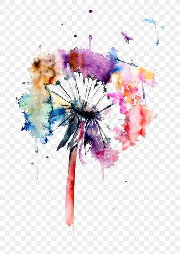 color splatter illustration, Watercolor painting Drawing Art, Dandelion, texture, flower Arranging p
