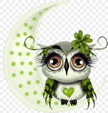 Little Owl Night owl Painting, owl illustration, animals, sleep png