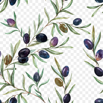 Watercolor painting Olive oil Illustration, Watercolor flower, watercolor Leaves, food png